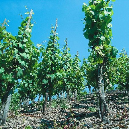 Weinhotel Hubertus Garni Klotten Zewnętrze zdjęcie