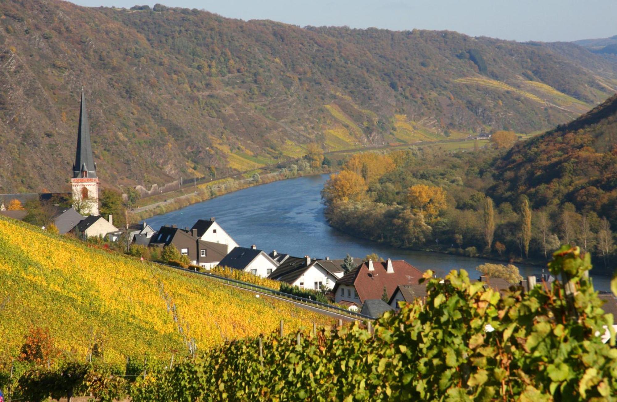 Weinhotel Hubertus Garni Klotten Zewnętrze zdjęcie