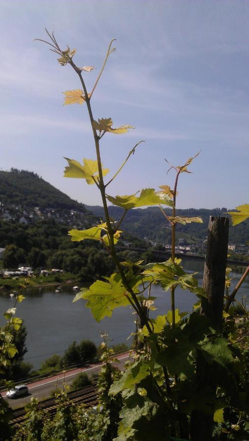 Weinhotel Hubertus Garni Klotten Zewnętrze zdjęcie